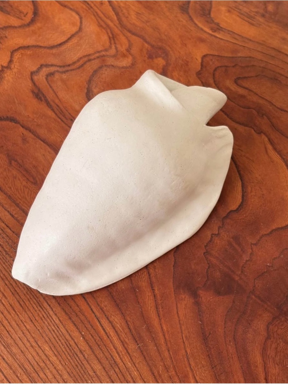 Handmade White Ceramic Shell Decor